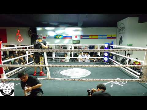 BOXEO ´PROFESIONAL EN VIVO!  EXPRESIÓN  DEPORTIVA  LA CASA DEL DEBUT