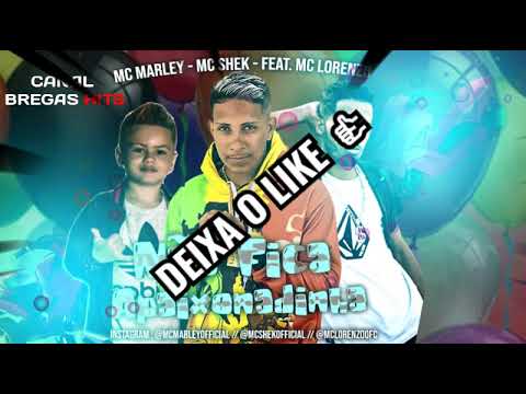 🔥 MC MARLEY, MC SHEK, feat. MC LORENZO - NÃO FICA APAIXONADINHA | | (W BEAT) | (REMIX BREGA FUNK)🔥