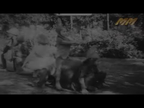 download lagu mp3 mp4 Ballet Bournemouth, download lagu Ballet Bournemouth gratis, unduh video klip Ballet Bournemouth