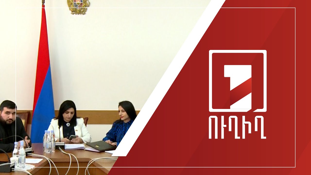 ԱԺ ՄԻՊ և հանրային հարցերի հանձնաժողովի նիստը շարունակվում է | ՈւՂԻՂ