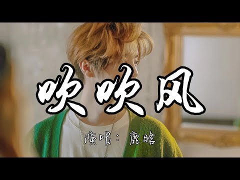 鹿晗 - 吹吹风『想带你 落日黄昏后 吹吹风想陪你 浪漫星空下 做做梦。』『动态歌词MV』