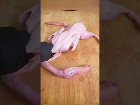 🦆Duck Refuses to Make a Heart: A Hilarious Reaction You Must See!#memes