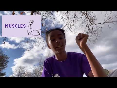 About Science Club for Girls: 2022 (in less than 2 min!)