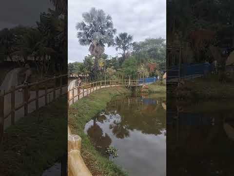 bosque de cidade ocidental GO Brasil