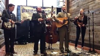 Carolina Blue Band- Prettiest Flowers