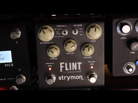 In depth demo of the Strymon Flint V2 // No Talking
