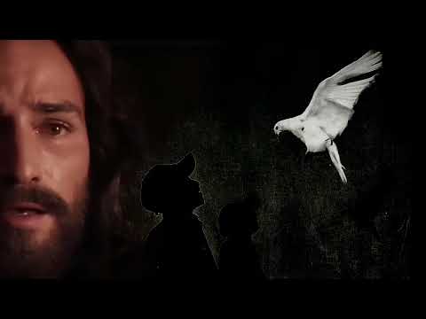 Kevin ( CHVÁLY 2025 ) CELÝ ALBUM 1