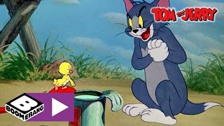 Tom i Jerry | Kaczki | Boomerang