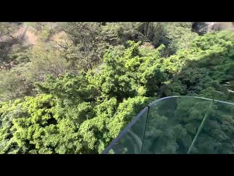 何文田山畔 Youtube Video