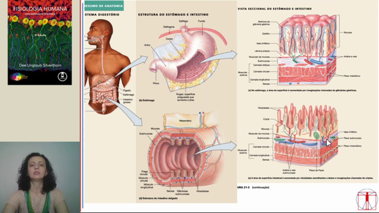 Gastrintestinal - Visão geral e Regulação Neuro-hormonal