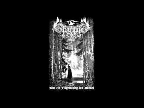 Sturmfolk - Der alte Geist des Waldes