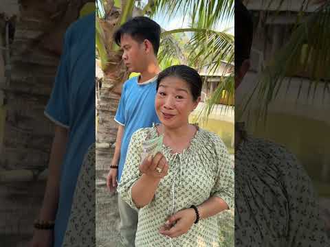 Tự dưng thấy 2 người này cũng xứng đôi #vanphiyen #funny #haihuoc #haimientay #shorts #windnet