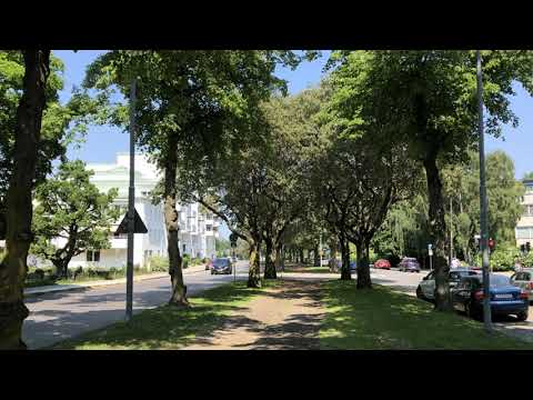 Billx feat Eolya Yggdrasil 2021 Dj Snolle