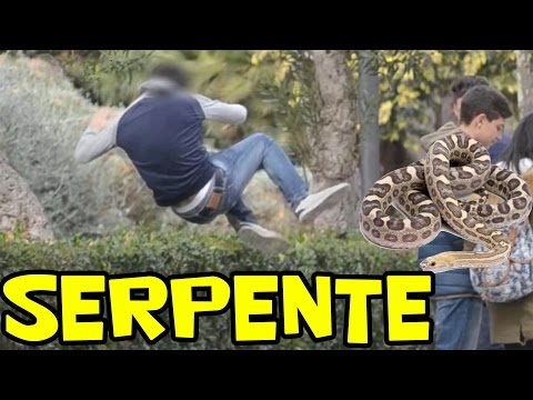 UN RAGAZZO SI LANCIA SUL CESPUGLIO - spaventare  la gente con un serpente [Esperimento sociale]
