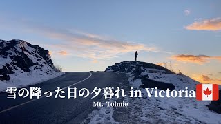 雪の降った日の夕暮れ【海外散歩】in Victoria