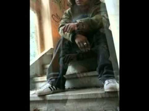 Café & Shemshey "Son intelligent"