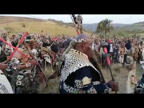 Izinyoni nyoni "Amabutho kaZulu"