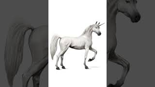 Sound Effects - Unicorn Magical Neigh