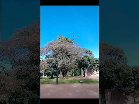Parque Batlle. Montevideo