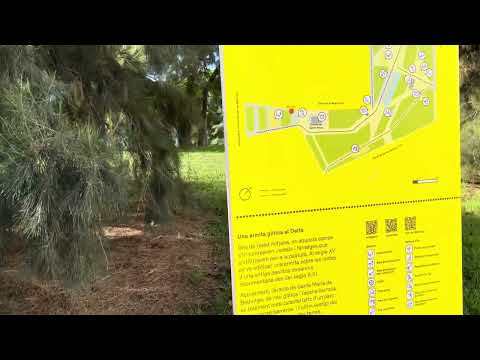 L'Hospitalet Bellvitge: touring Barcelona