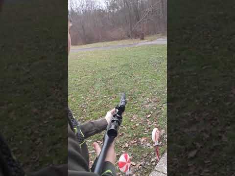 Crosman DIAMONDBACK .22CAL PELLET RIFLE REVIEW/How Powerful is a 22cal pellet rifle