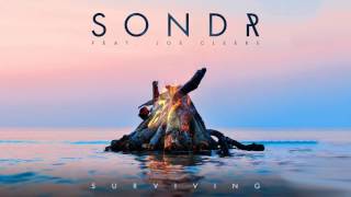 SONDR & Joe Cleere - Surviving (Cover)