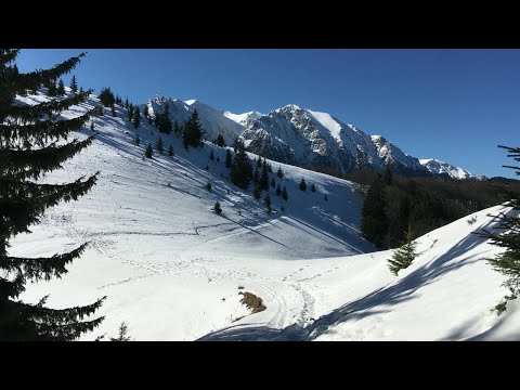 review of the Azuga winter trail - Diham-Phoenix chalet - Gura Diham chalet