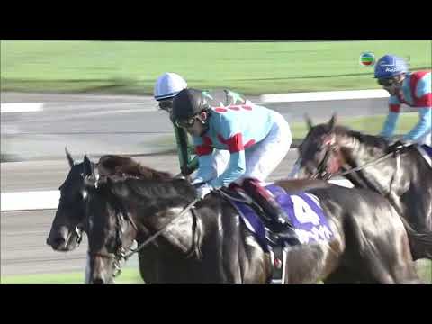 2021 日本短途馬錦標 Sprinters Stakes スプリンターズステークス 妙發靈機 Pixie Knight ピクシーナイト