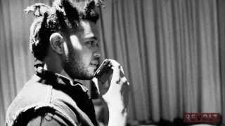 The Weeknd Fall Tour: Calling Fans