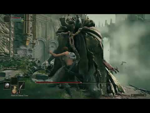 An normal Tarnished vs Margit