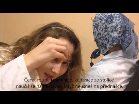 Půlení mediků 5. skupina 2015