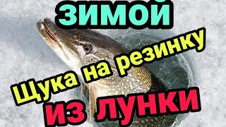 Ловля рыбы на резинку зимой