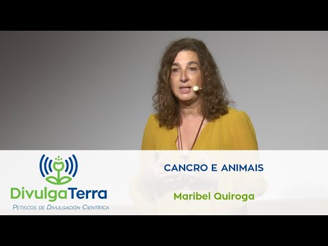Vídeo: Cancro e animais
