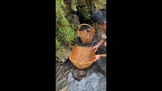 Download lagu Fisherman Catching Seafood EP177 mp3