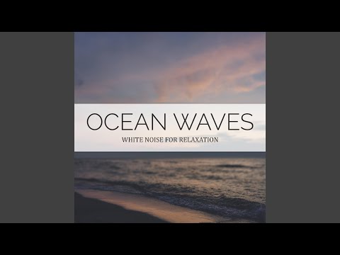 Nature and Wildlife Near a Quiet Beach on the Baltic Sea