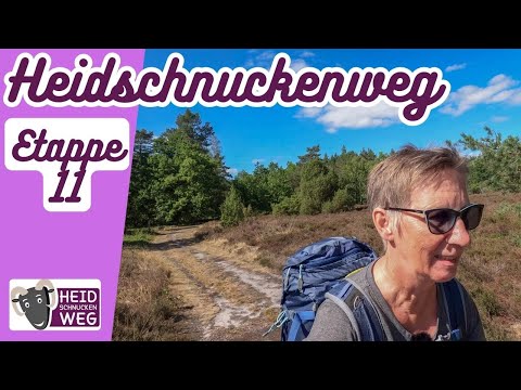 🐏Heidschnuckenweg🥾Etappe 11 - von Weesen zur Oberoher Heide