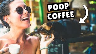 POOP COFFEE &amp; RICE TERRACES | Last Day in Ubud, Bali, Indonesia - YouTube