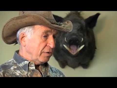 De la terre à la table : sanglier