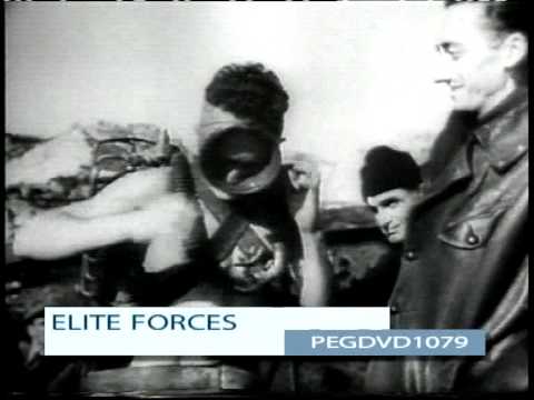 The Warfile - Elite Forces