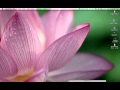 How To Record And Post On Youtube With Quicktime Player
