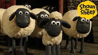 Shaun the Sheep 🐑 Flock Adventures! - Cartoons for Kids 🐑 Full Episodes Compilation [1 hour]