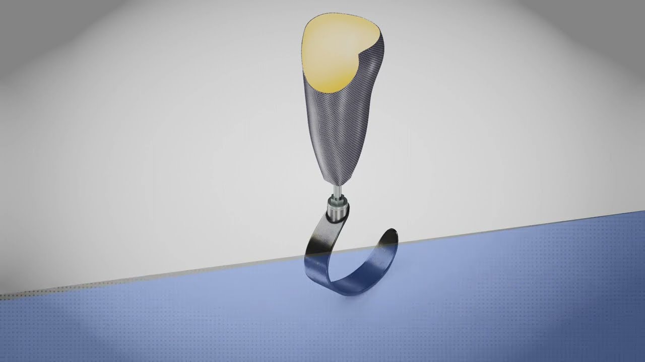 무릎 아래 보철물 3 3D 모델