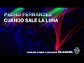 PEDRO FERNANDEZ - CUANDO SALE LA LUNA - [Karaoke] Miguel Lobo