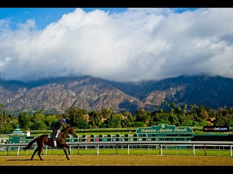 2013 Breeders' Cup: Dazzling On and Off the Track