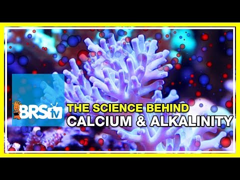Week 29: Calcium & Alkalinity: The Science Behind a Healthy Reef. | 52 Weeks of Reefing