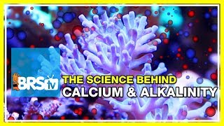 Week 29: Calcium &amp; Alkalinity: The science behind a healthy reef | 52 Weeks of Reefing