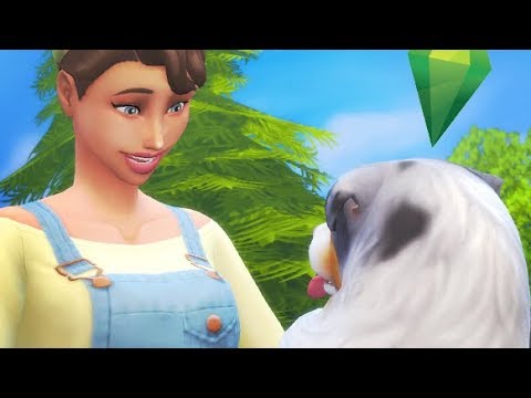 the sims 4 playable pets mod the sims 4 playable pets mod