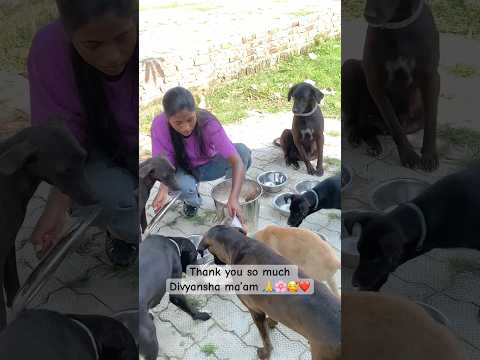 Thank you mam 🙏❤️#saveanimals #animallife #streetdog #youteshorts