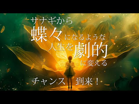 サナギから蝶々になるような人生を劇的に変えるチャンス到来！｜アストロメッセ by 幸運を導くマッダレーナ