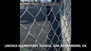 Video preview image #1 American Pit Bull Terrier-Labrador Retriever Mix Puppy For Sale in San Bernardino , CA, USA